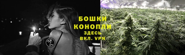 винт Вяземский