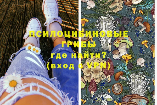 винт Вяземский