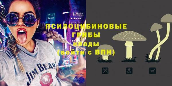 гидра Бугульма